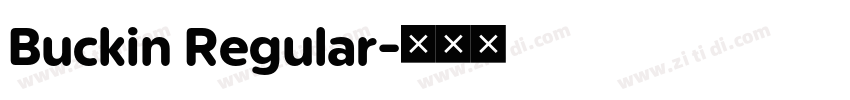Buckin Regular字体转换